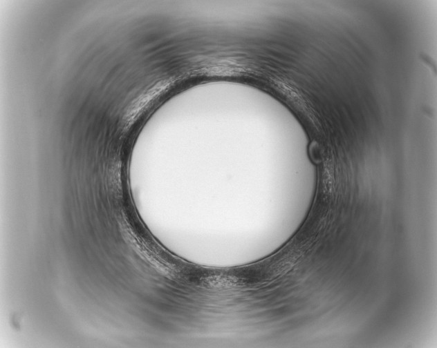 X0000101420535200807280940