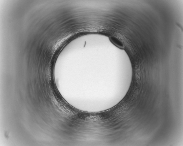 X0000101420536200807280940