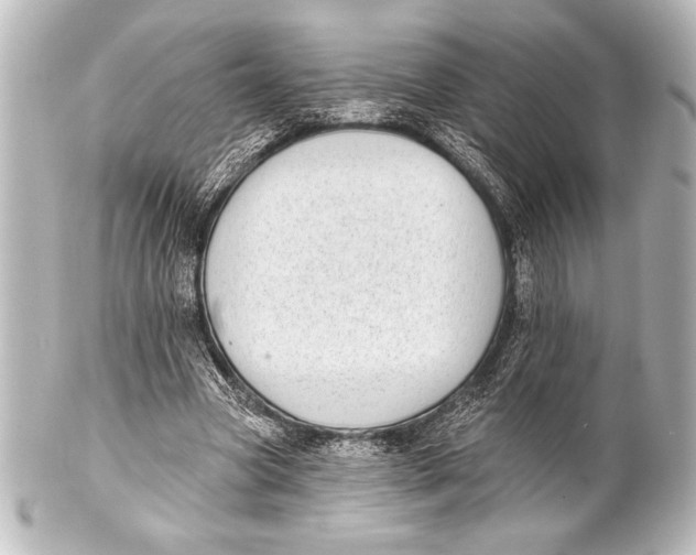 X0000101420537200807280940