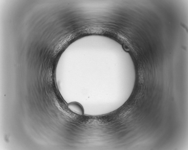 X0000101420538200807280940