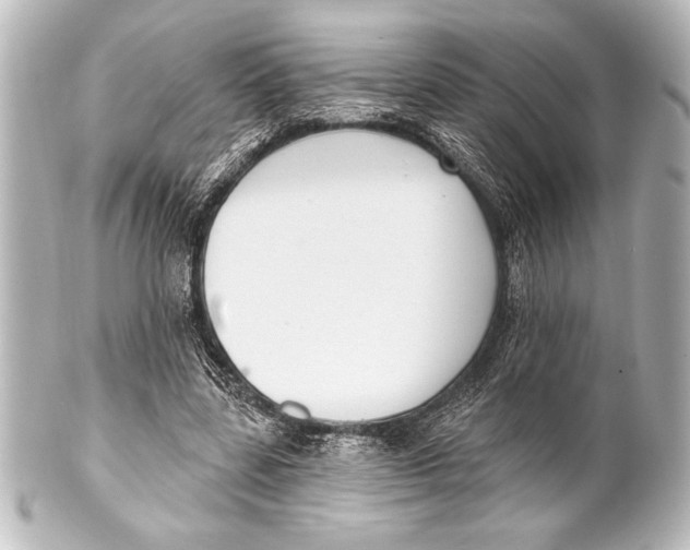 X0000101420539200807280940