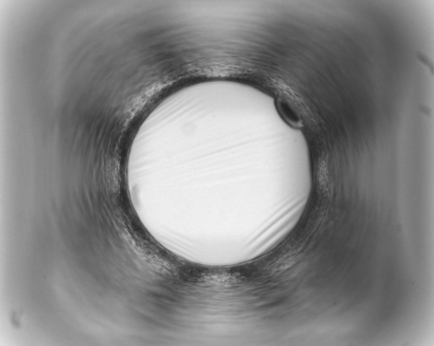 X0000101420540200807280940