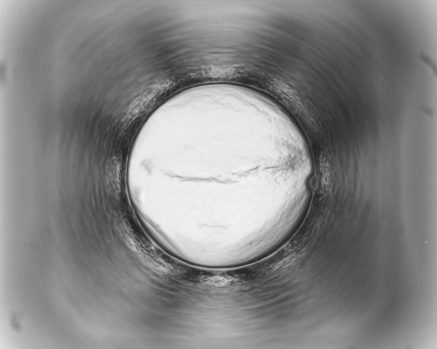 X0000101420542200807280940