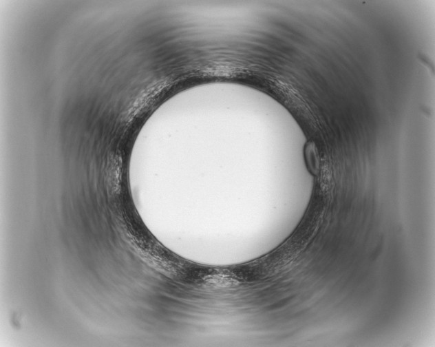 X0000101420544200807280940