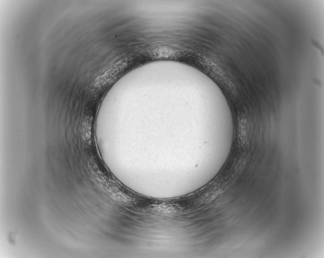 X0000101420545200807280940