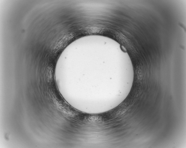 X0000101420546200807280940