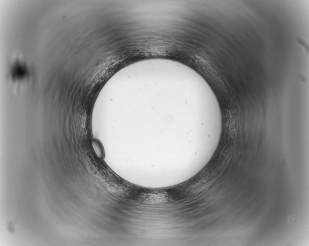 X0000101420548200807280940