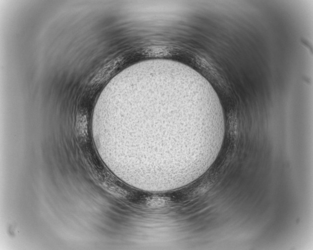 X0000101420549200807280940