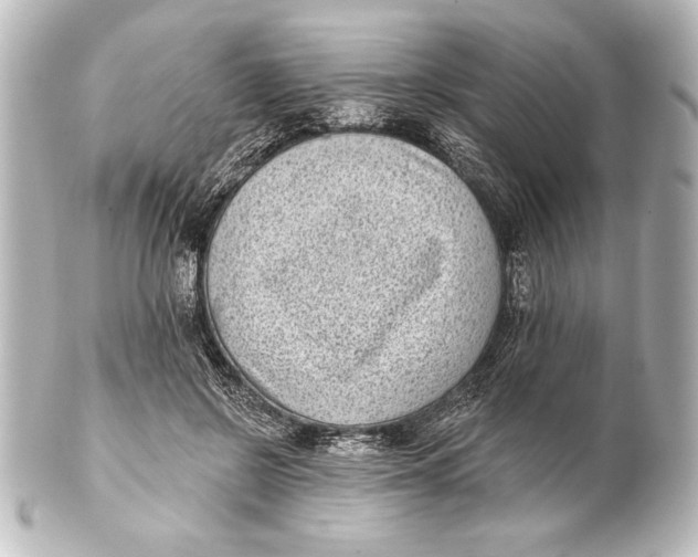 X0000101420550200807280940
