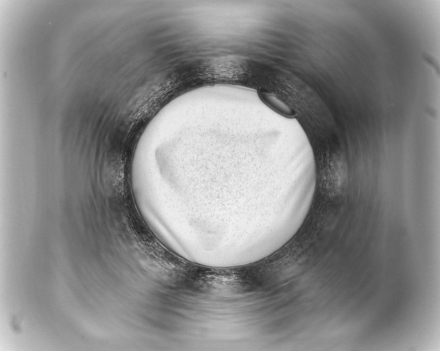 X0000101420552200807280940