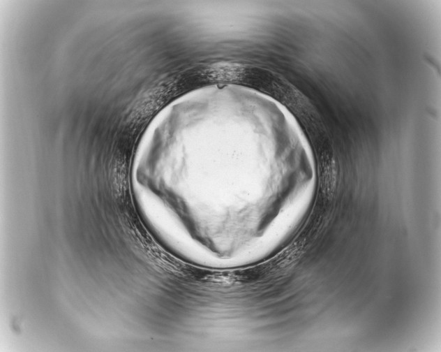 X0000101420553200807280940
