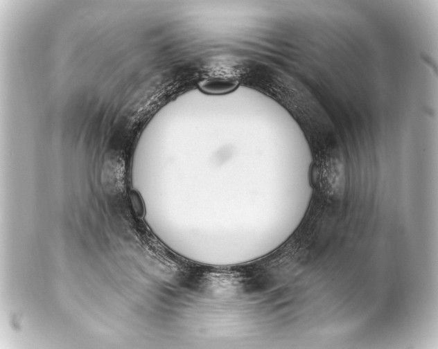 X0000101420556200807280940