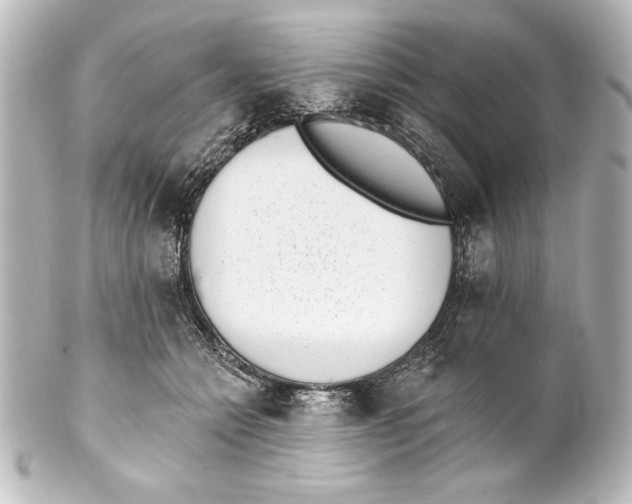 X0000101420558200807280940