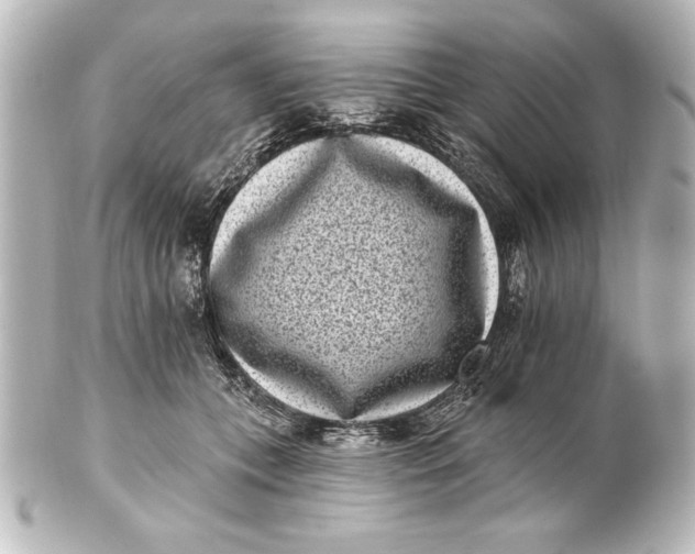 X0000101420559200807280940