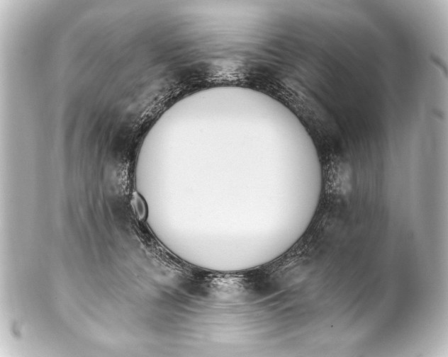 X0000101420560200807280940