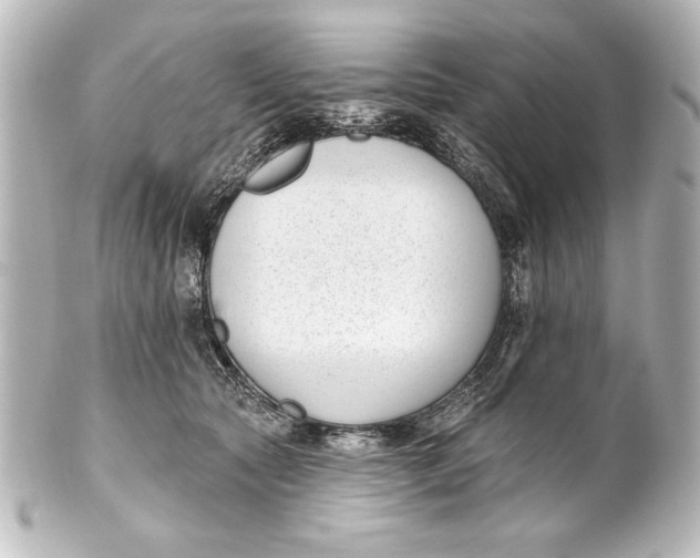 X0000101420561200807280940