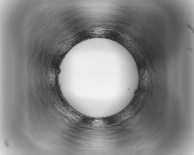 X0000101420562200807280940