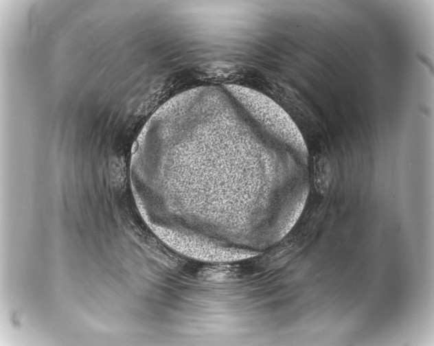 X0000101420563200807280940
