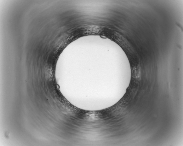 X0000101420564200807280940