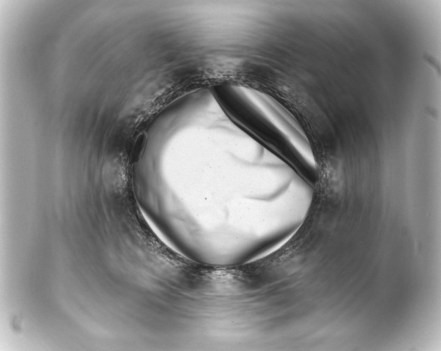 X0000101420566200807280940