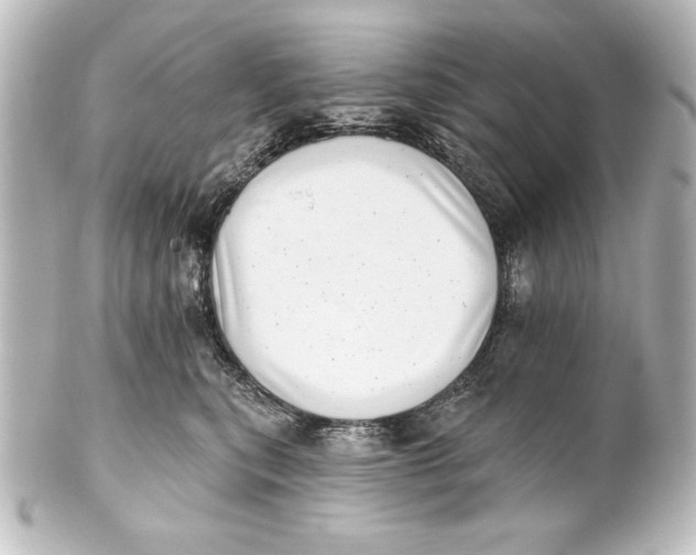 X0000101420567200807280940