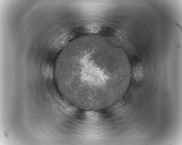 X0000101420568200807280940