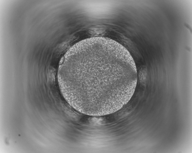 X0000101420570200807280940