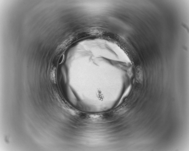 X0000101420573200807280940