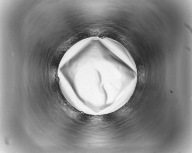 X0000101420574200807280940