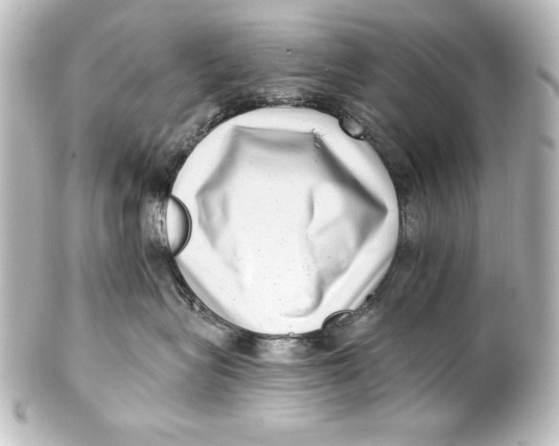 X0000101420575200807280940