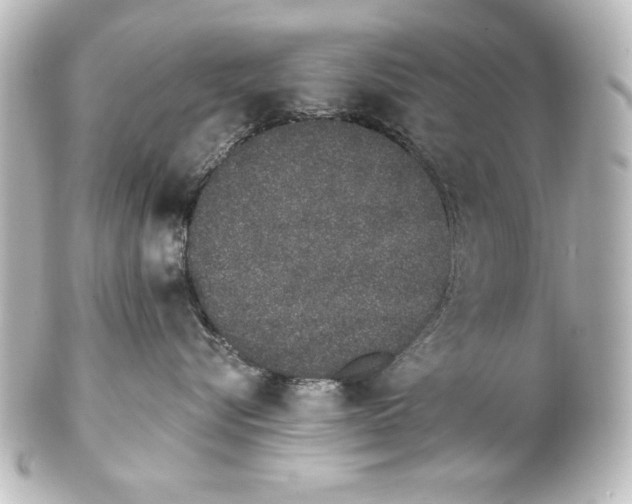 X0000101420576200807280940