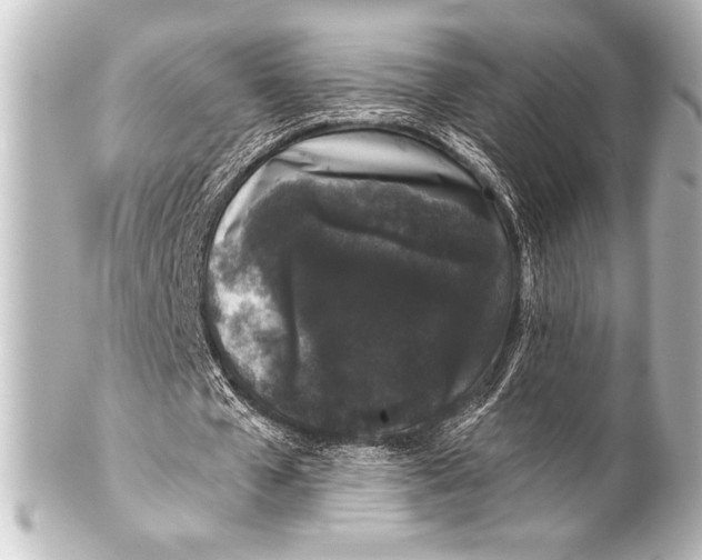 X0000101420577200807280940