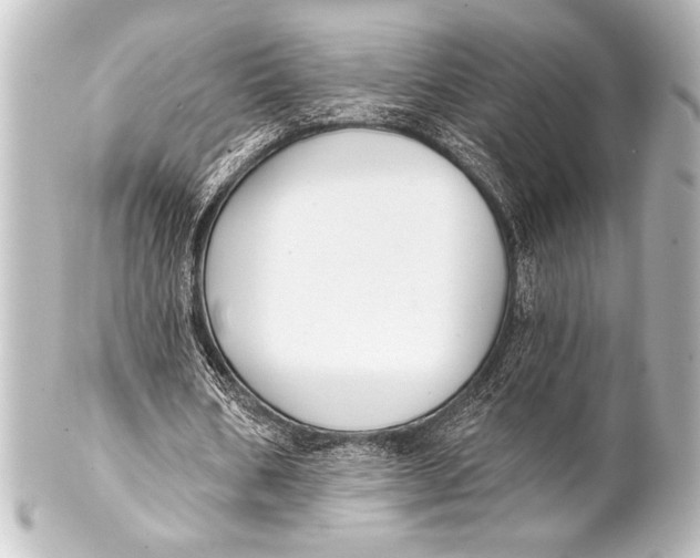 X0000101420578200807280940