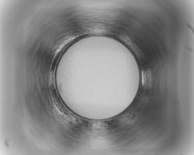 X0000101420579200807280940