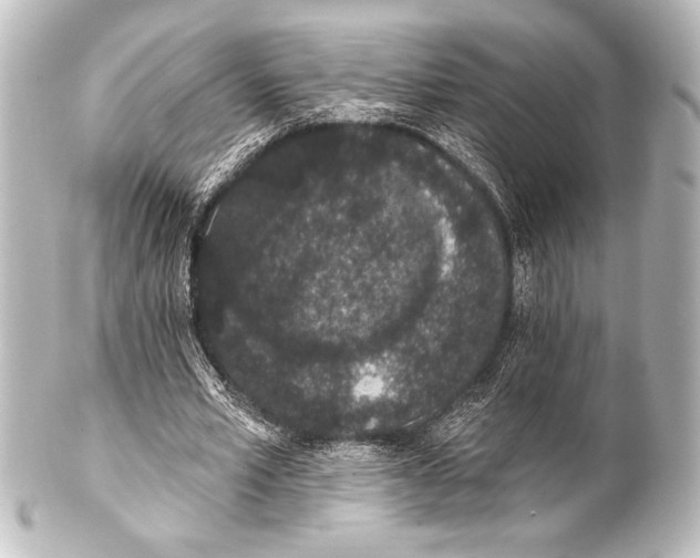 X0000101420581200807280940