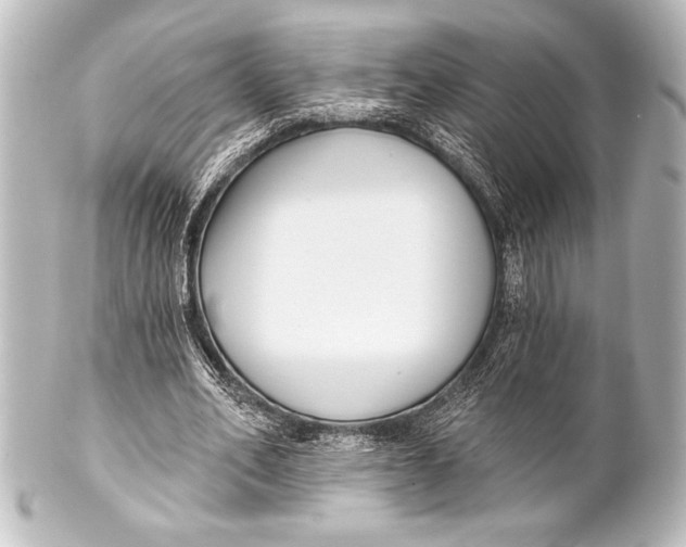 X0000101420582200807280940