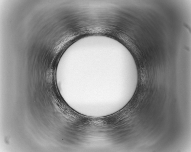 X0000101420583200807280940