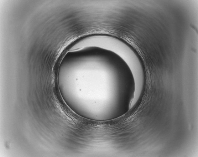 X0000101420584200807280940