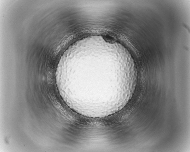 X0000101420585200807280940