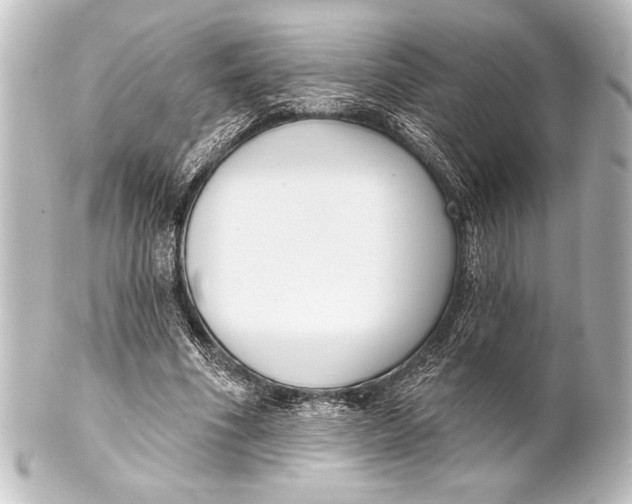 X0000101420586200807280940