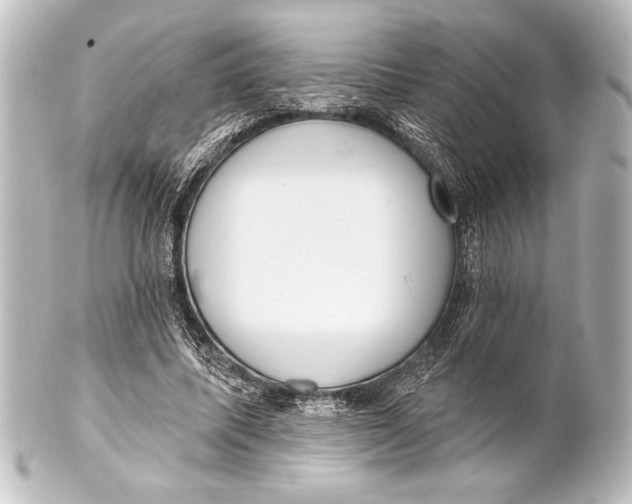 X0000101420587200807280940