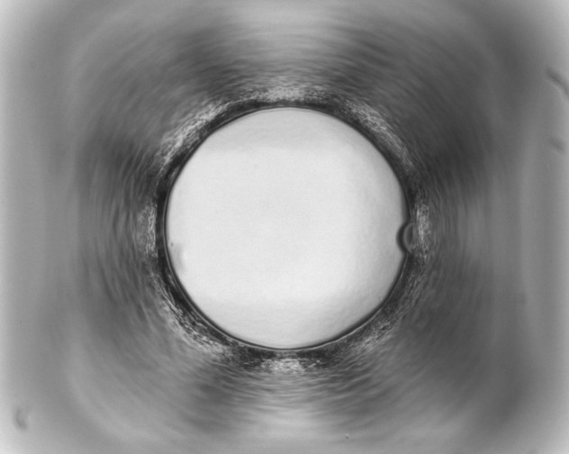 X0000101420588200807280940