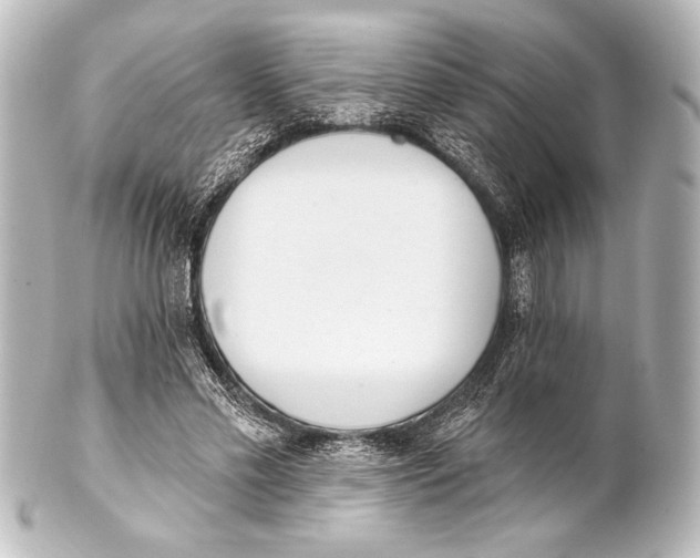 X0000101420589200807280940