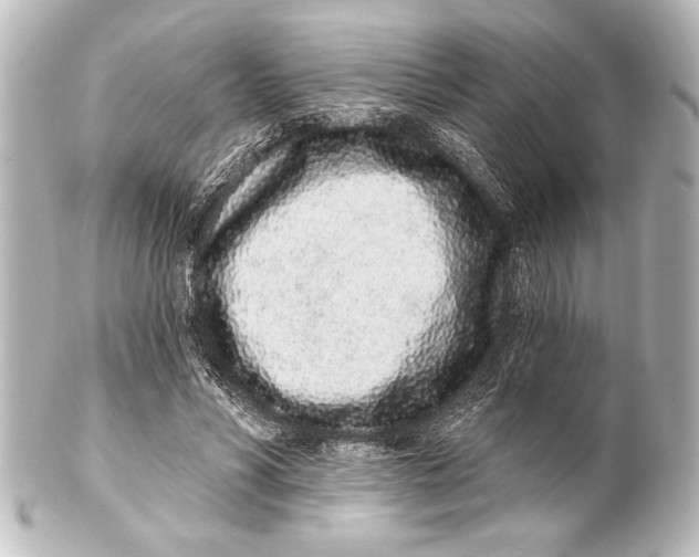 X0000101420590200807280940