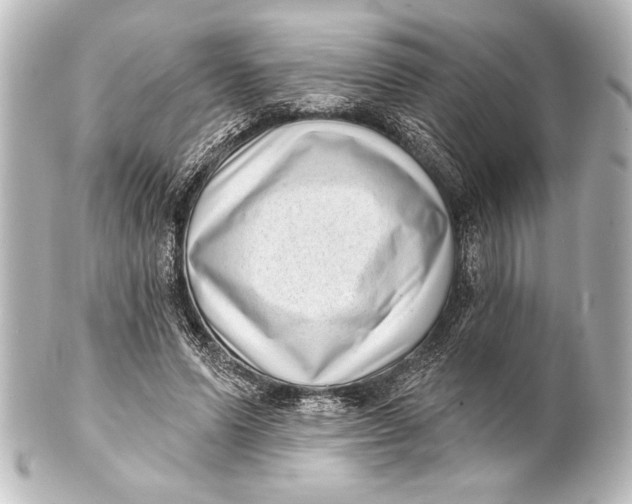 X0000101420591200807280940