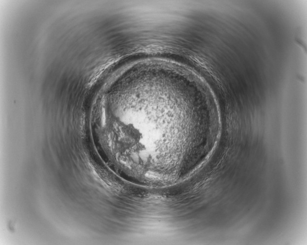 X0000101420592200807280940