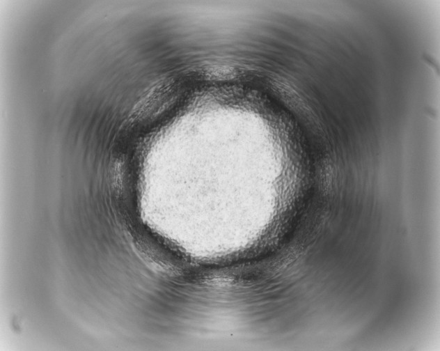 X0000101420598200807280940