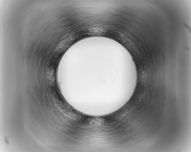 X0000101420599200807280939