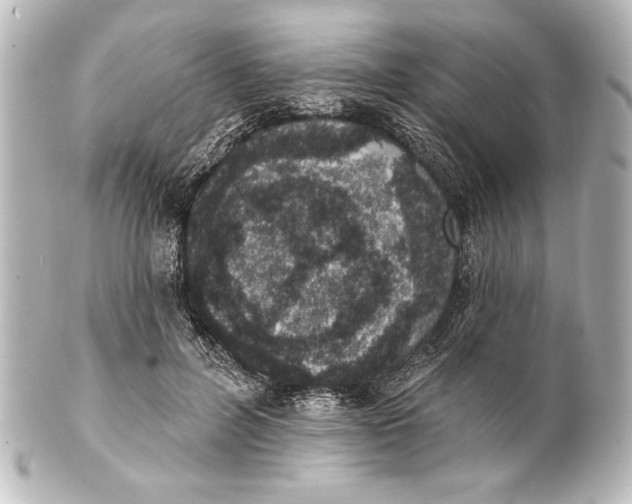 X0000101420600200807280939