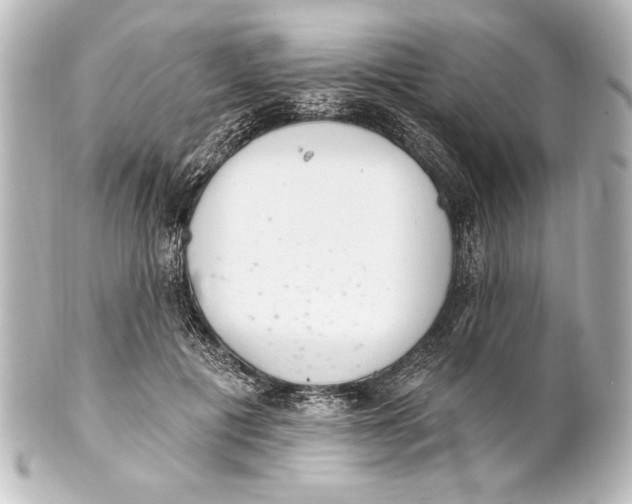 X0000101420601200807280939
